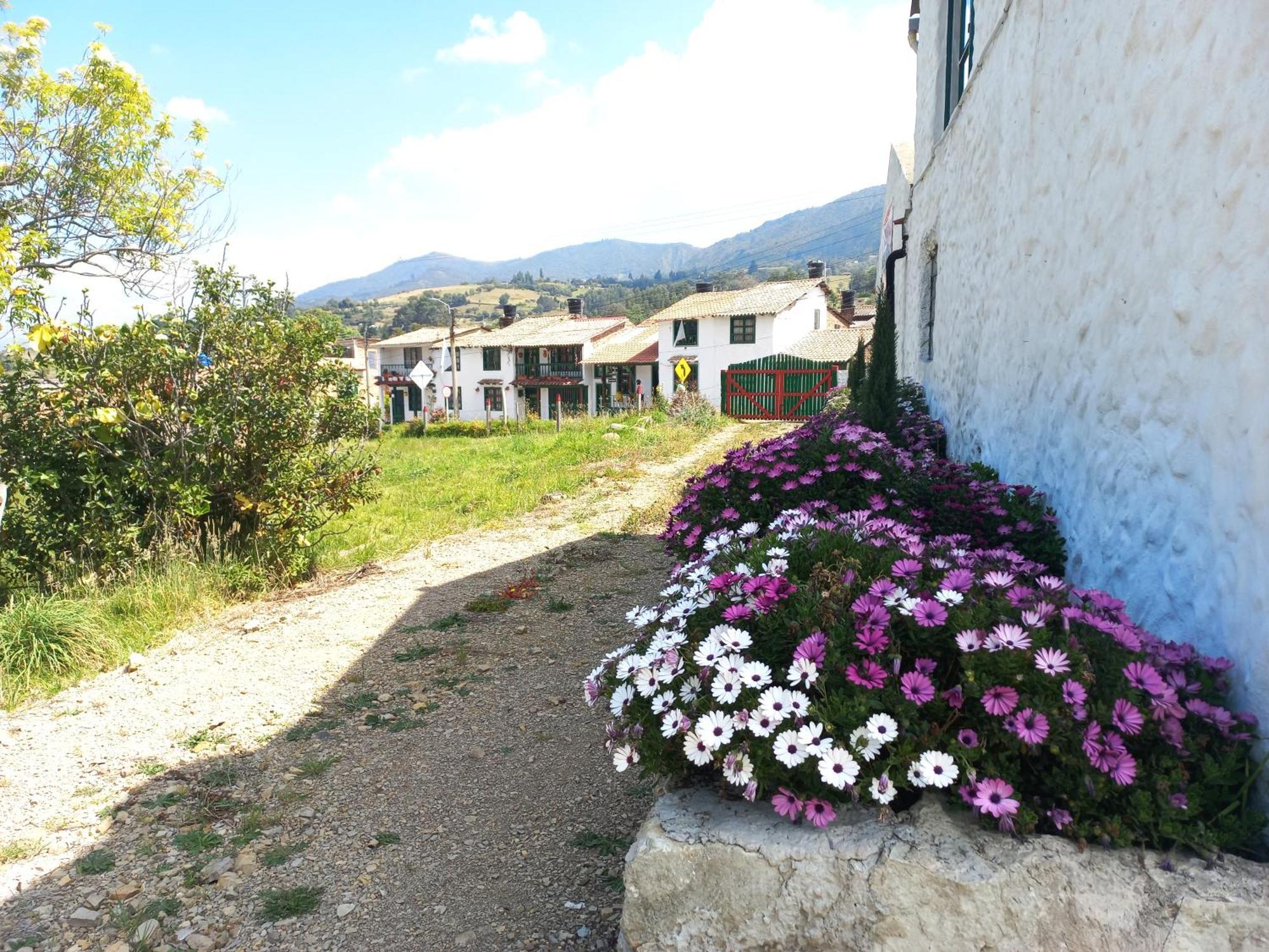 Hospedaje Y Camping Del Rio Mongui Exterior photo