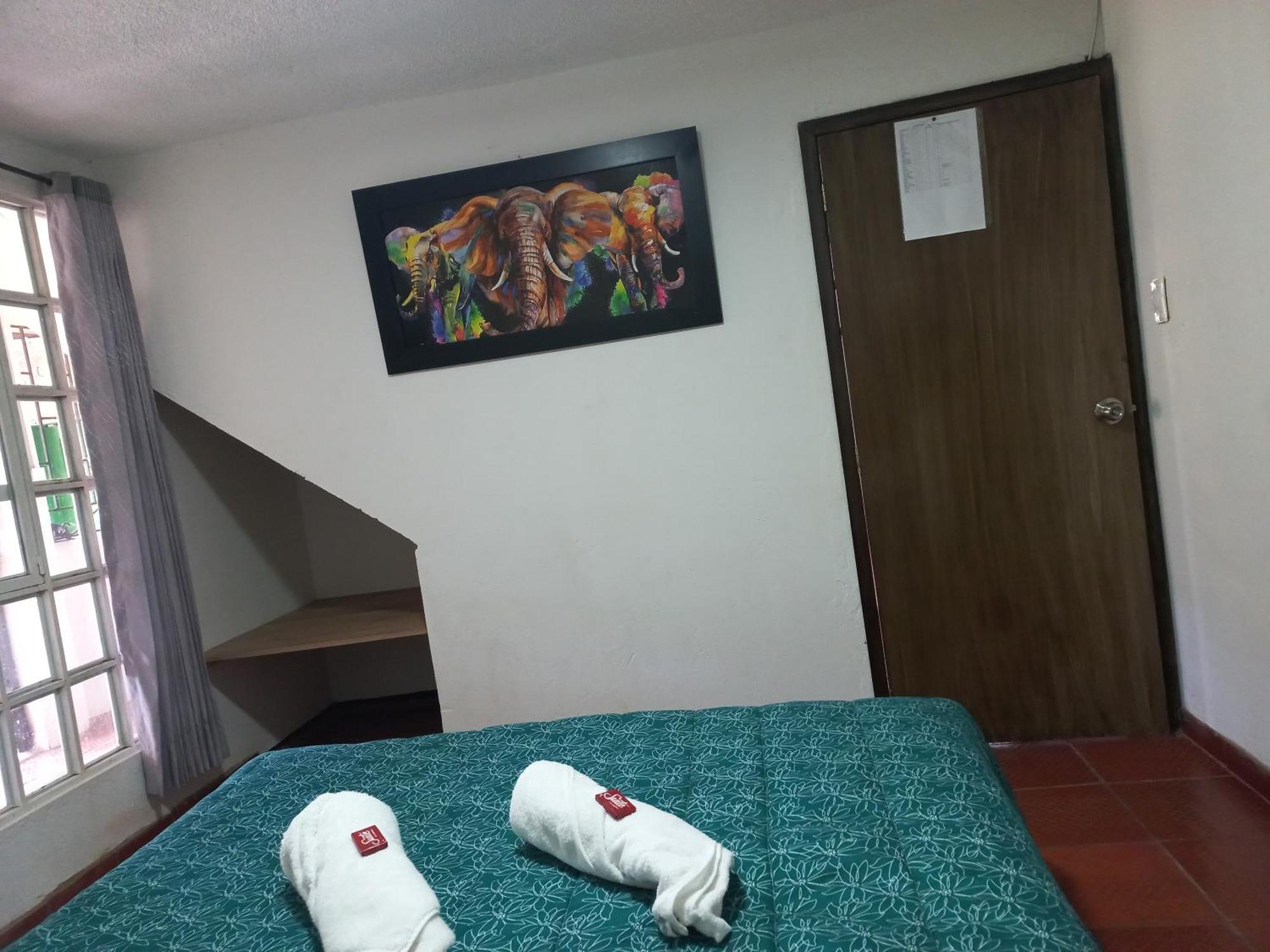 Hospedaje Y Camping Del Rio Mongui Exterior photo