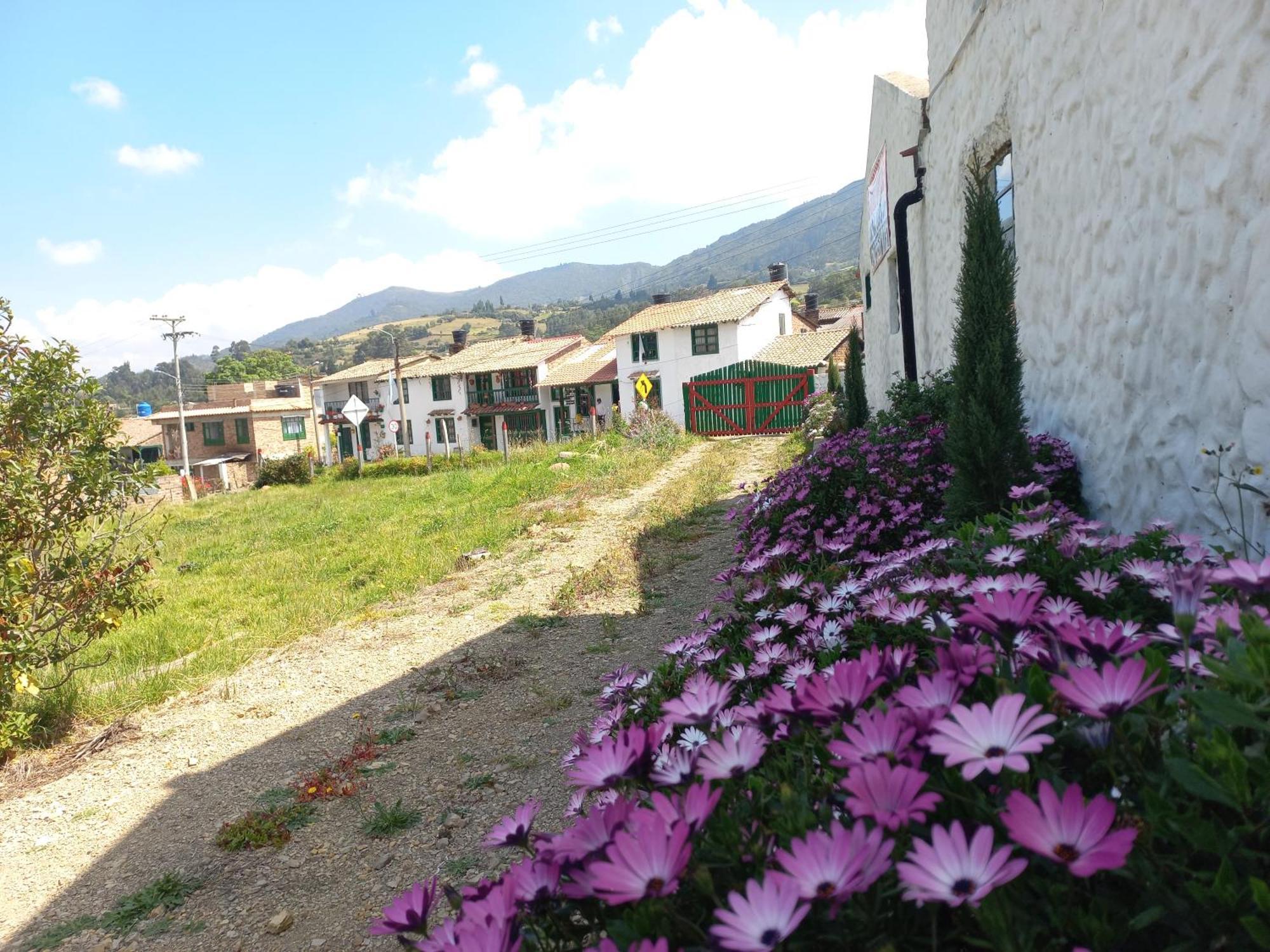 Hospedaje Y Camping Del Rio Mongui Exterior photo
